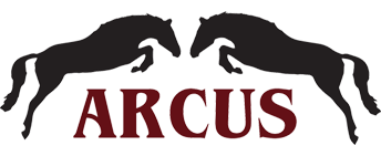 P.H.U. Arcus