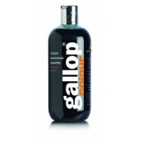 C&D&M szampon Gallop Colour