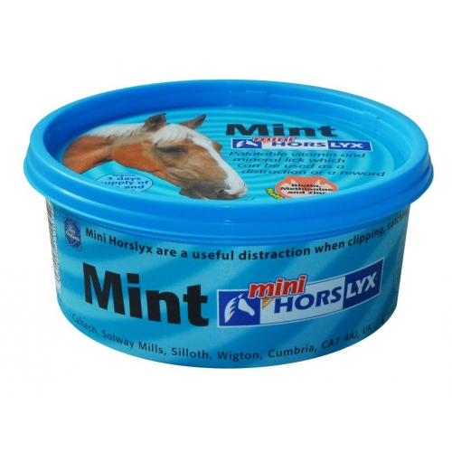 Horslyx Mint lizawka miętowa