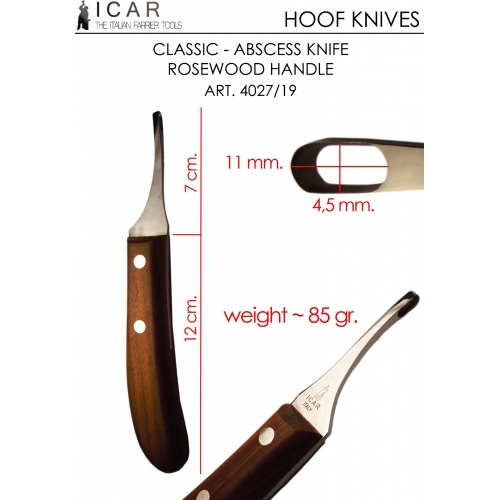 ICAR nóż Loop Abscess 4027