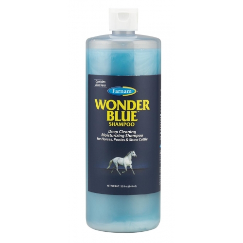 Farnam Wonder Blue Shampoo Aloe Vera szampon przeciwłupieżowy z aloesem